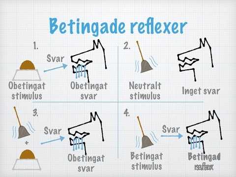 Etologi och beteendeekologi