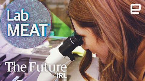 Är syntetisk seafood framtidens melodi?