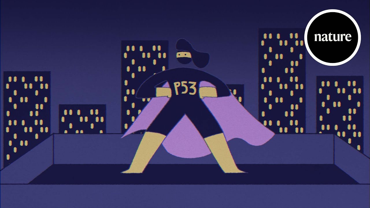Genomets väktare: p53