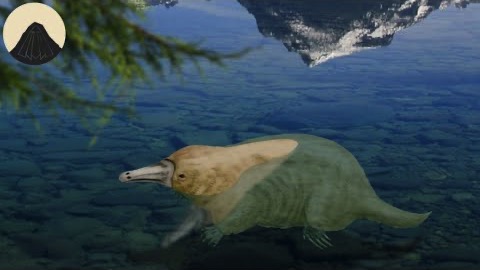 Näbbdjurets evolution