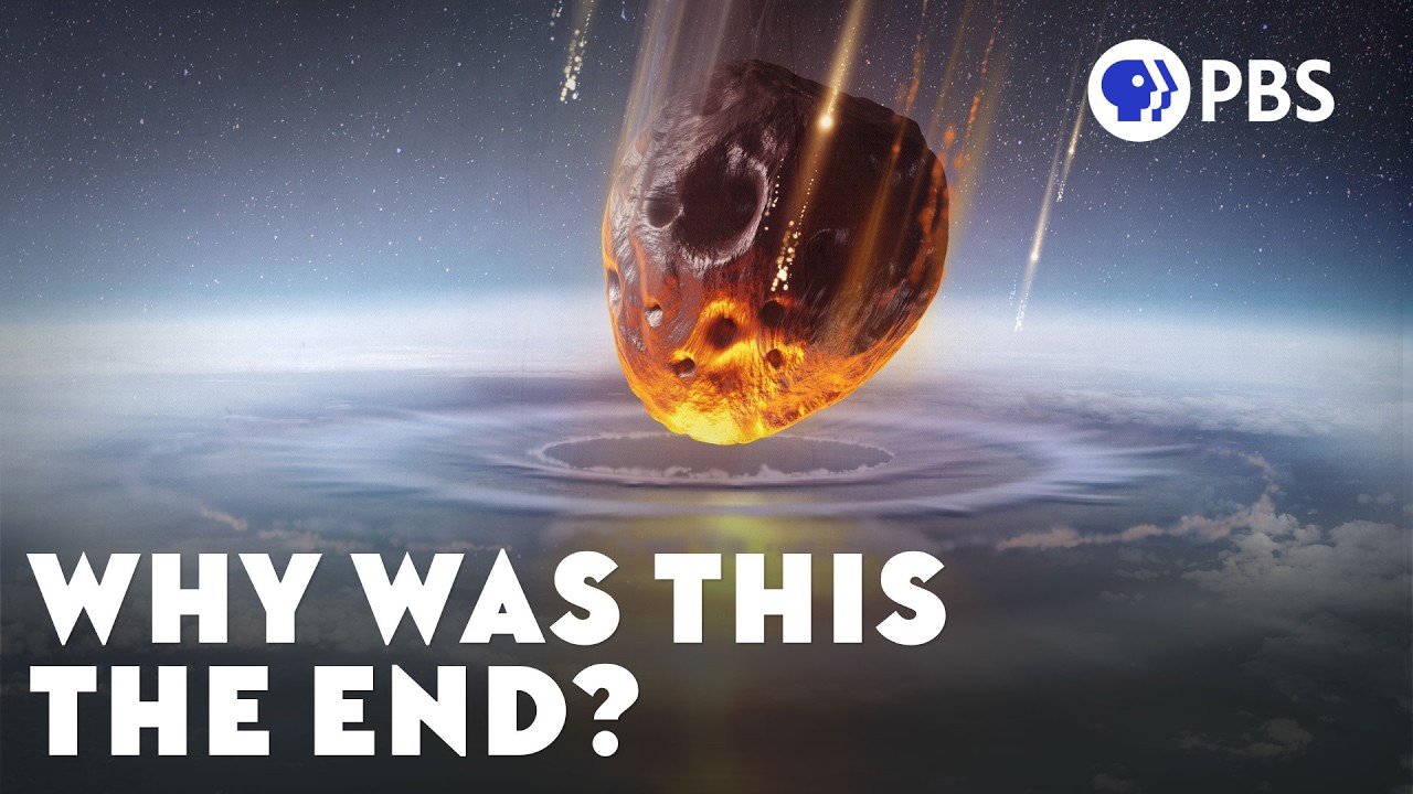 Varför blev det ingen andra reptilernas tidsålder?