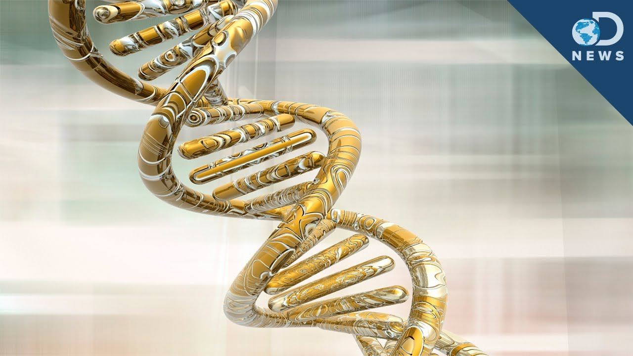 Fem genupptäckter från 2013 du inte visste om