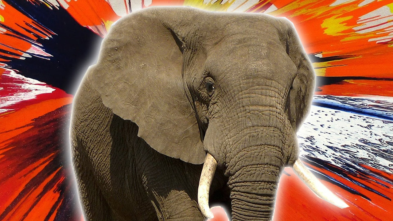 Nio festliga fakta om elefanter