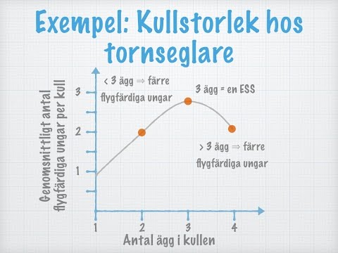 ESS och social organisation