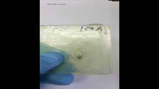 Självläkande material kan skydda internationella rymdstationen ISS