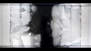 En verkligt tjusig visualisering av evolution