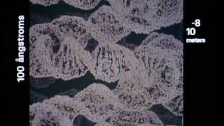 Tiopotenser: Powers of ten