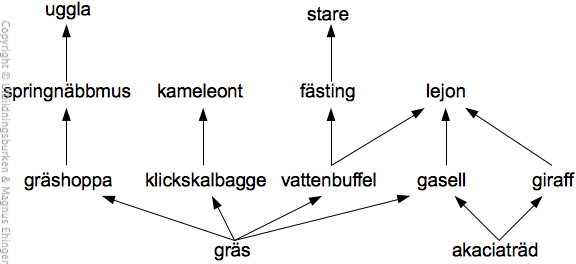 En näringsväv på savannen