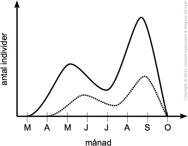 Hur en predators och ett bytesdjurs populationer följer varandra