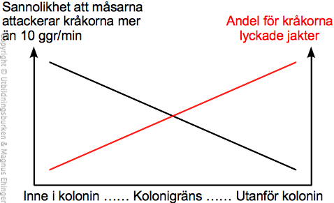 forhallandet-aggjakt-koloniplacering