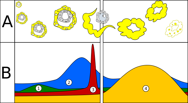 Ingår inte längre i biologiämnet på gymnasiet.