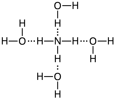 Ammoniak kan delta med fyra vätebindningar till vatten.