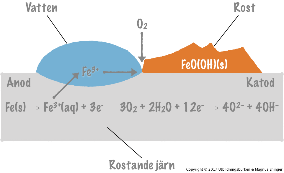 En galvanisk cell – "rostcell" – som kan uppstå när järn rostar.