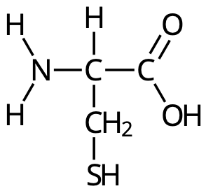 Cystein.