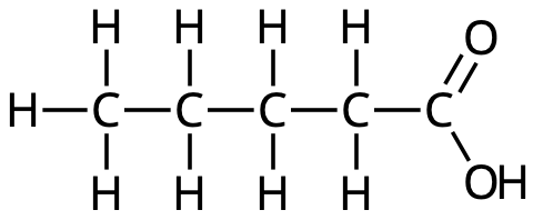 pentansyra