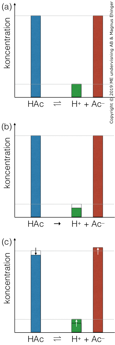 (a) Buffertsystemet är i jämvikt. (b) En liten mängd bas (OH–) sätts till lösningen. Den reagerar med H+ och bildar vatten, vilket gör att [H+]&nbsp;sjunker. Jämvikten rubbas, och går åt höger (enligt Le Chateliers princip). (c) När systemet åter nått jämvikt är koncentrationen H+ åter ungefär lika hög som innan.
