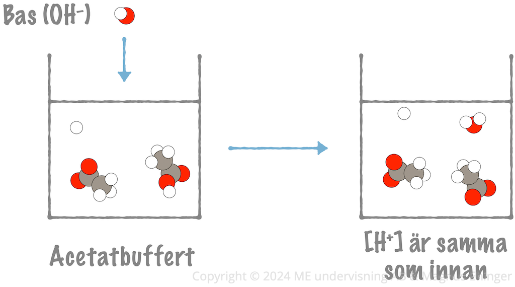 Vid tillsats av bas till en buffert avger buffertens syra (i det här fallet ättiksyran) vätejoner till överskottet av hydroxidjoner. Därmed ändras inte lösningens vätejonkoncentration (nästan alls), utan förblir densamma.
