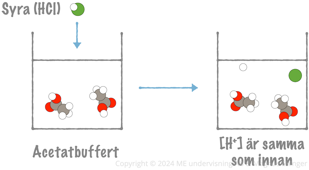 Vid tillsats av syra till en buffert tar buffertens bas (i det här fallet acetatjonerna) upp överskottet på vätejoner. Därmed ändras inte lösningens vätejonkoncentration (nästan alls), utan förblir densamma.